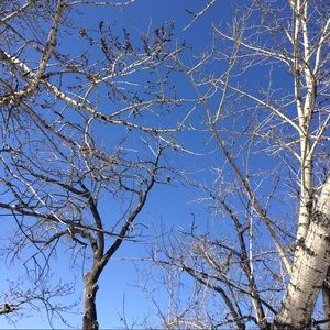 Meet your Posher, Ania